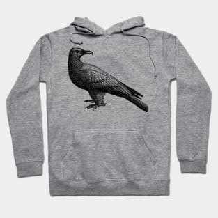 Vintage Bird Illustration Art Hoodie